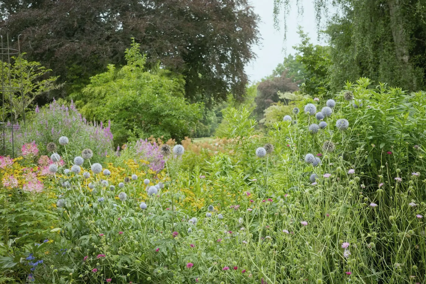 Un jardin au printemps, vivaces fleuries et arbres